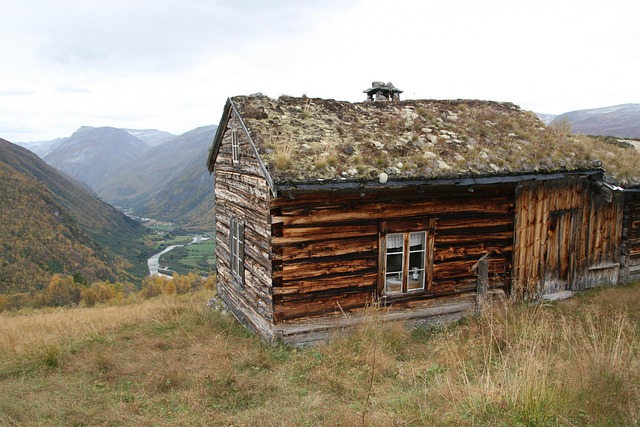 Investering i skog og landbrukseiendom i Norge: En guide